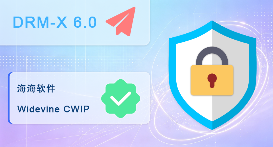 DRM-X 6.0